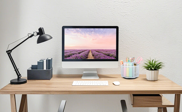 EXERZ Desk Organiser/Mesh Desk Tidy Caddy/Pencil Holder/Multifunctional 360 Rotating -White