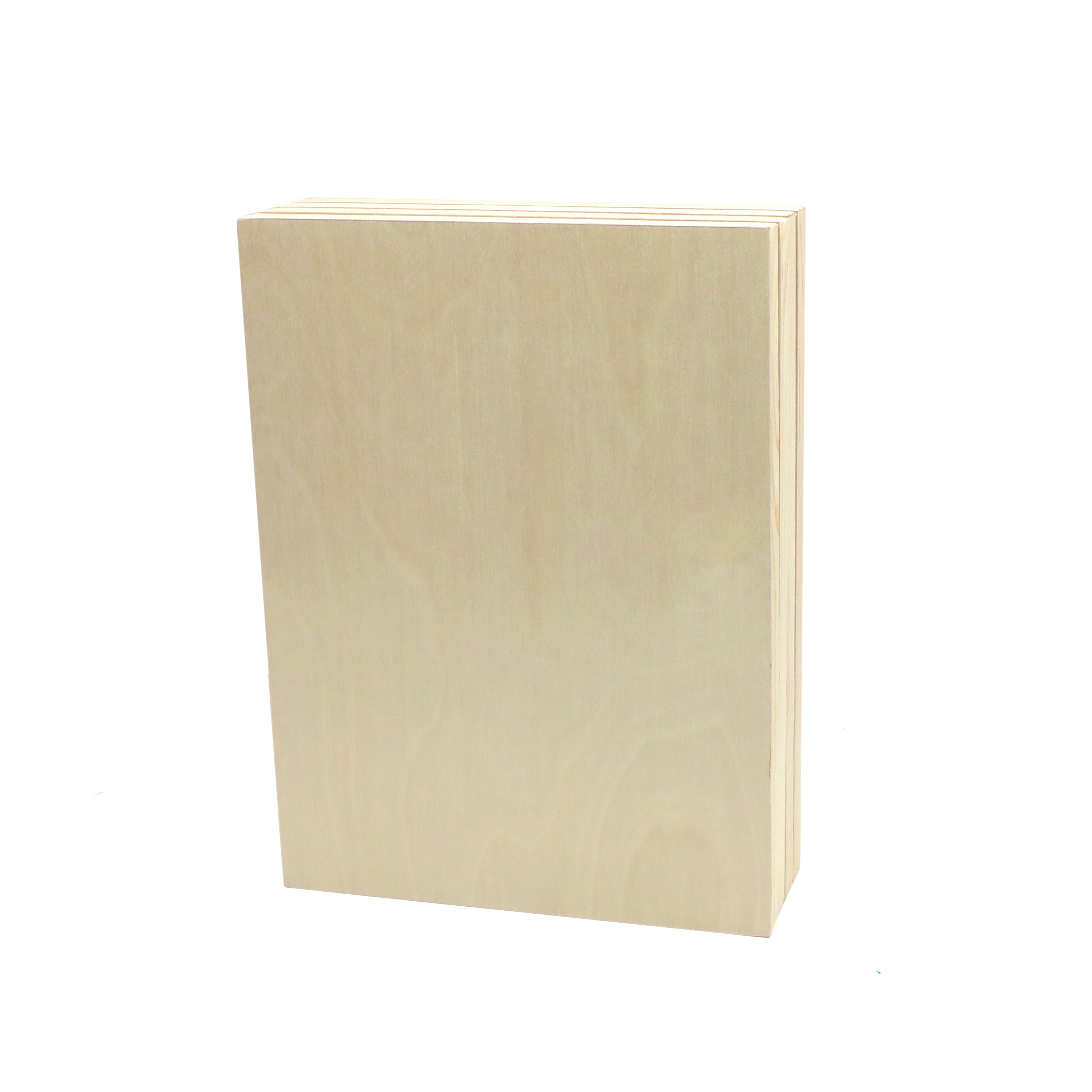 EXERZ Wooden Paint Boards 20.3x25.4cm – 4 Pack Square Wooden Panels for Acrylic, Oil & Mixed Media Painting – Large Smooth Panels Craft Boards for Artists, Kids & DIY Projects (8