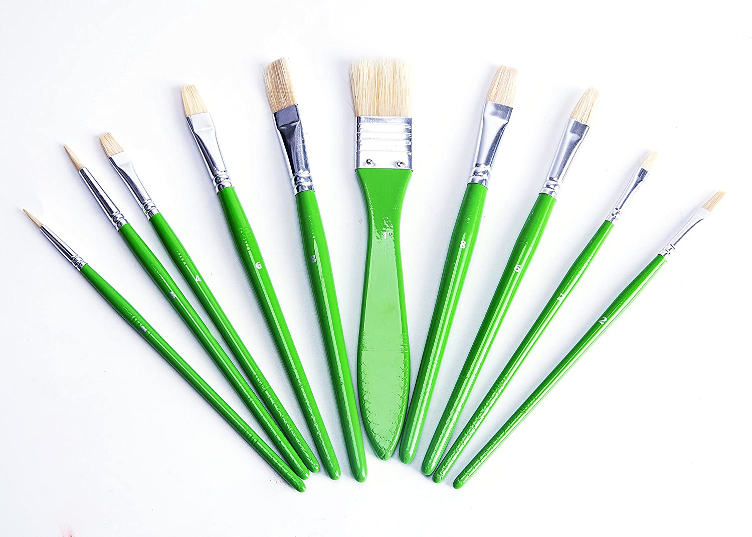 Exerz Artist Paint Brush Set – 10 pcs Professional Bristle Brushes in a Case/Perfect for Oil Colour Acrylic Gouache - Oil