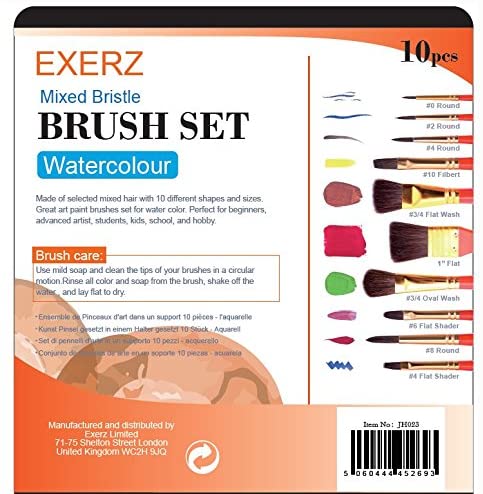 Exerz Artist Paint Brush Set – 10 pcs Professional Mixed Bristle Brushes in a Case - Watercolour & Gouache