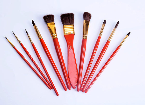 Exerz Artist Paint Brush Set – 10 pcs Professional Mixed Bristle Brushes in a Case - Watercolour & Gouache