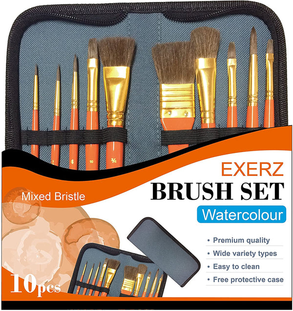 Exerz Artist Paint Brush Set – 10 pcs Professional Mixed Bristle Brushes in a Case - Watercolour & Gouache