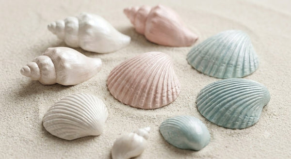 Seashell-Inspired Modelling Clay Creations