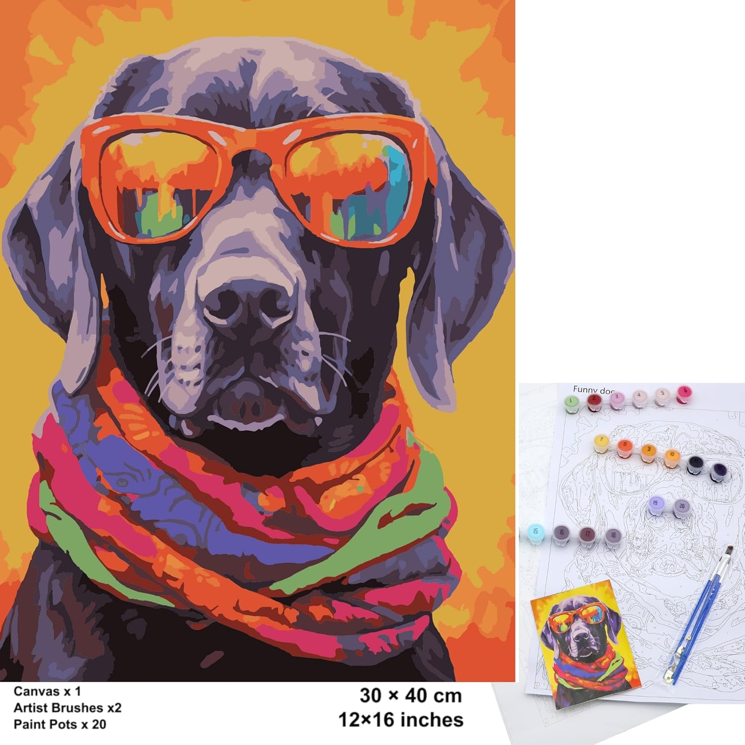 Paint by Number Canvas - Funny Dog 30x40cm Rolled Up Canvas