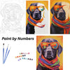Paint by Number Canvas - Funny Dog 30x40cm Rolled Up Canvas