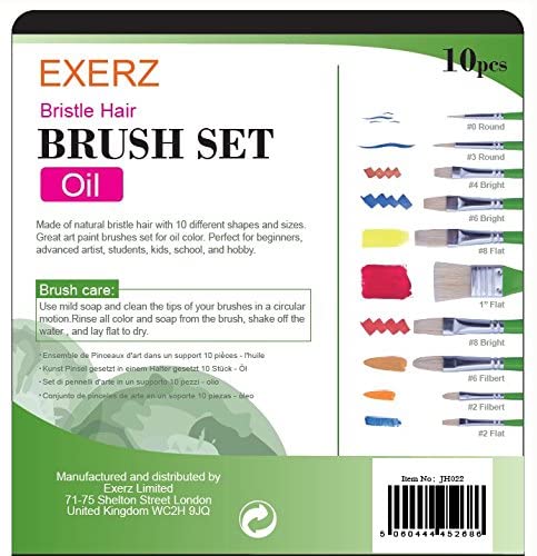 Exerz Artist Paint Brush Set – 10 pcs Professional Bristle Brushes in a Case/Perfect for Oil Colour Acrylic Gouache - Oil